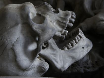 Тело найдено в квартире в Новосибирске