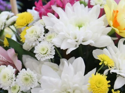 Тысячу жён и матерей бойцов СВО поздравят с 8 Марта депутаты
