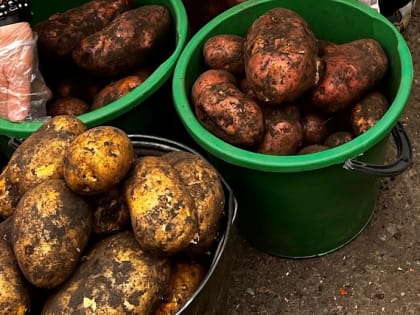 Совместные рейды по борьбе с преступностью в Москве