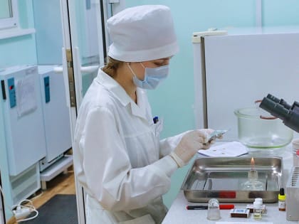 Генетический тест на определение стресса разрабатывают в Академпарке