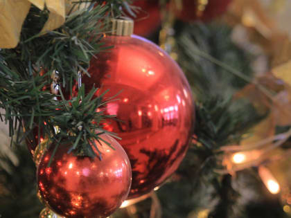 Новосибирск: волшебство для детей