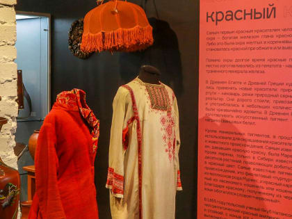 Обои-убийцы и привет от Ван Гога: выставку о цвете открыли в Новосибирске