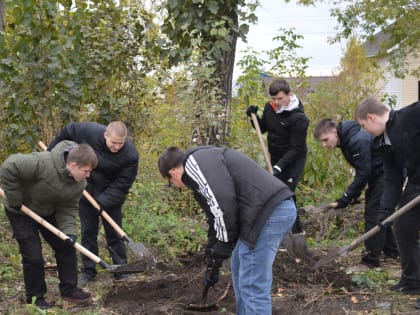 Новые деревья для Искитима: Саженцы пирамидального тополя высажены в рамках благоустройства