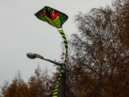 Волшебный мир: Драконы и Самолёты