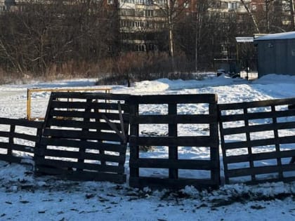 От нелегального ёлочного базара в Советском районе осталась только ограда