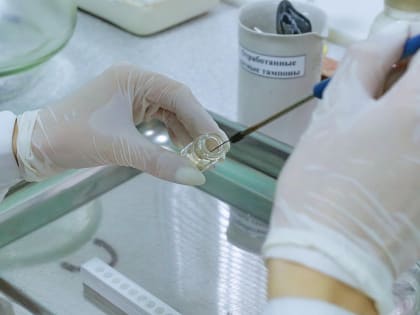 Эффективный гель для заживления ран разработали в Новосибирске
