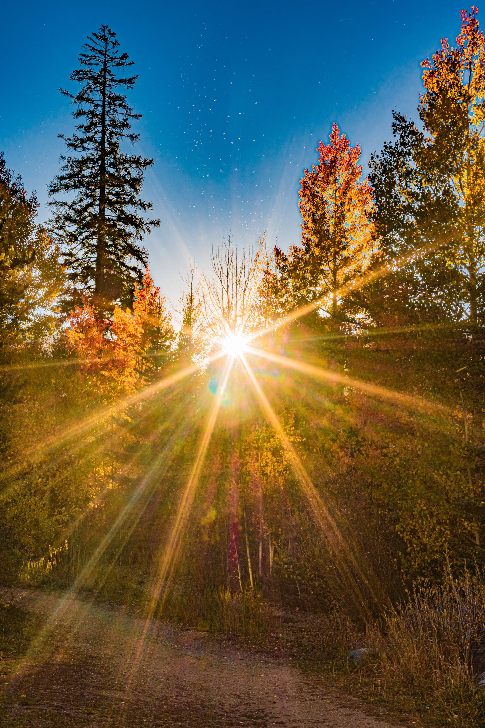 colorado