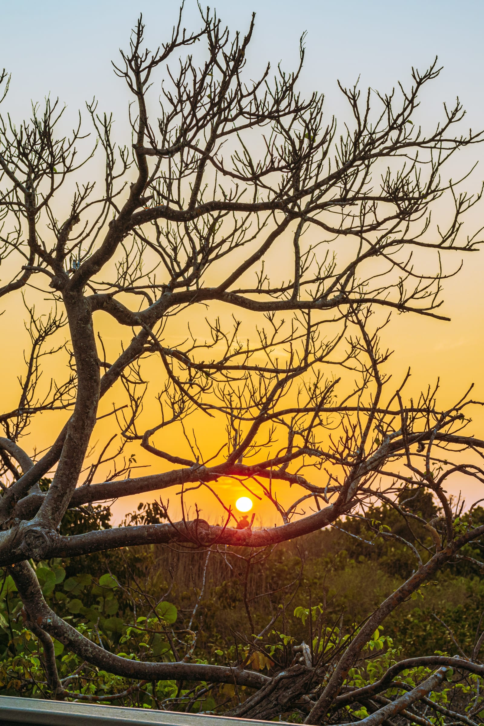 sanibel