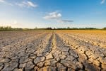 danni all agricoltura com e andato il 2023 e i rischi del 2024
