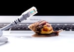 adsl expert speaks diritti indennizzi linead adsl down