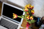 adsl news adsl tiscali tutto incluso light da 19 95 euro