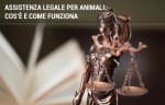 assicurazioni guide aidaa assistenza legale animali domestici
