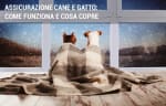 assicurazioni guide assicurazione cane e gatto cosa copre come funziona