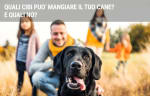 assicurazioni guide quali cibi non possono mangiare i cani