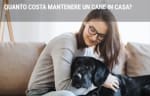 assicurazioni guide quanto costa mantenere un cane