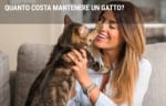 assicurazioni guide quanto costa mantenere un gatto