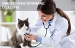 assicurazioni guide rimborso spese veterinarie come funziona