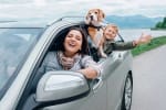 assicurazioni news assicurazione allianz a giugno 2023