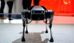 assicurazioni news cani robot da compagnia
