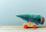 assicurazioni news come trasportare l albero di natale in auto secondo il codice della strada