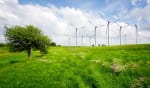 assicurazioni news paesi piu green in classifica anche l italia