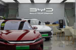 concessionario byd concessionario byd