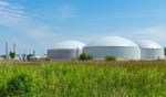 energia luce gas news biomasse la loro importanza per produrre energia rinnovabile in italia