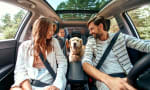 Famiglia in auto con cane