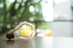 Lampadina luce elettrica
