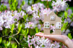mutui news comprare casa con mutuo per affittarla quando conviene