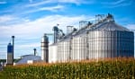 noleggio lungo termine news biocarburanti cosa sono