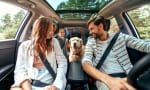 noleggio lungo termine news offerte auto a benzina a maggio 2023
