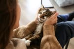 Ragazza che tiene in braccio il suo gatto