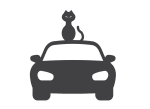sorpresa gli italiani al volante non sono scaramantici