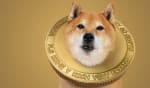 trading news shiba inu criptovaluta popolare grazie ai social