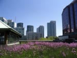 citta connesse e green nellera post covid i desideri degli abitanti