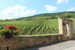 comprare casa in mezzo ai vigneti