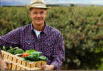 nuovi prestiti per gli agricoltori in piemonte