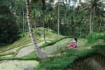 assicurazione viaggio in indonesia