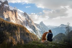 Le regole per viaggiare con cani e gatti Le regole per viaggiare con cani e gatti