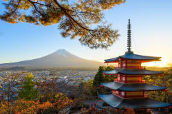 Assicurazione sanitaria per viaggiare in Giappone: obblighi, coperture e costi aggiornati Assicurazione sanitaria per viaggiare in Giappone: obblighi, coperture e costi aggiornati