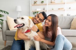 Polizze per cani e gatti: da 10€ al mese con rimborso spese veterinarie fino a 2.000€ Polizze per cani e gatti: da 10€ al mese con rimborso spese veterinarie fino a 2.000€