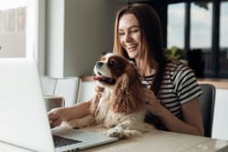 Le assicurazioni animali a maggio 2025 Le assicurazioni animali a maggio 2025