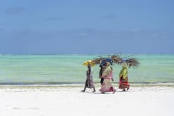 Visitare Zanzibar: consigli di viaggio