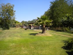 Un prestito per il verde Un prestito per il verde