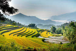 In rotta verso il Vietnam: come pianificare la partenza e proteggere la tua vacanza In rotta verso il Vietnam: come pianificare la partenza e proteggere la tua vacanza
