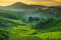 Quando andare in Malesia: il periodo migliore per visitare il paese Quando andare in Malesia: il periodo migliore per visitare il paese