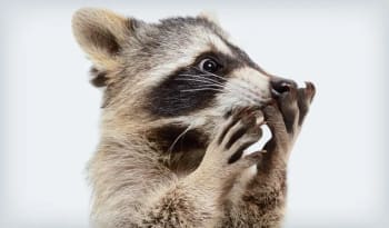 adsl guide internet ultraveloce cosa devi sapere per risparmiare ora