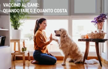 assicurazioni guide quanto costa e quando fare il vaccino al cane assicurazioni guide quanto costa e quando fare il vaccino al cane