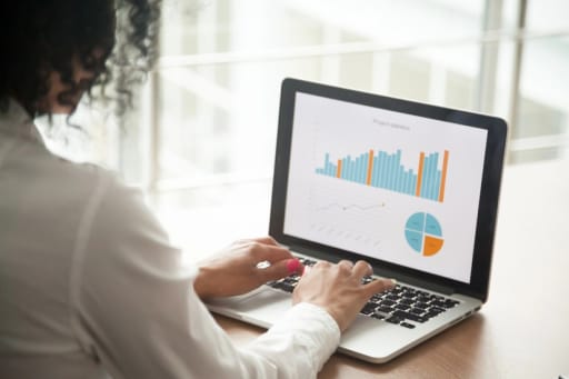 donna che analizza le statistiche al pc donna che analizza le statistiche al pc